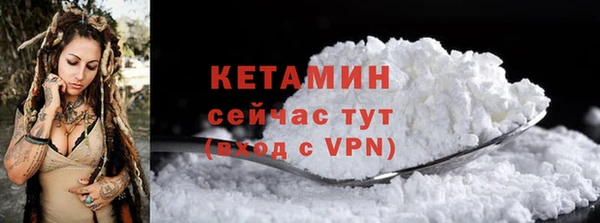хмурый Пересвет