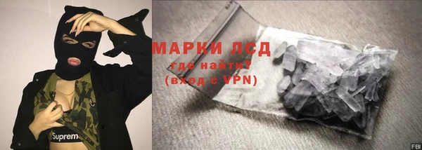 хмурый Пересвет