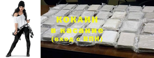 амф Болотное