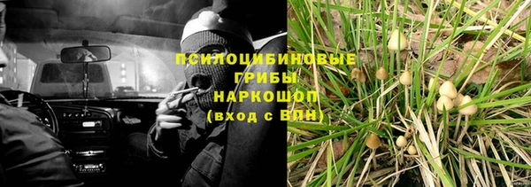 мяу мяу мука Переславль-Залесский