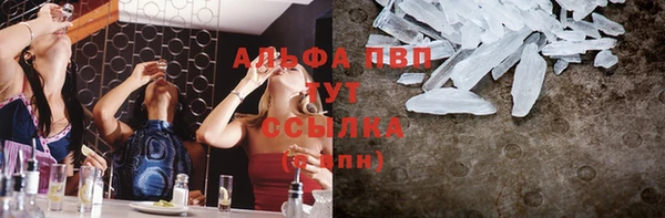 хмурый Пересвет
