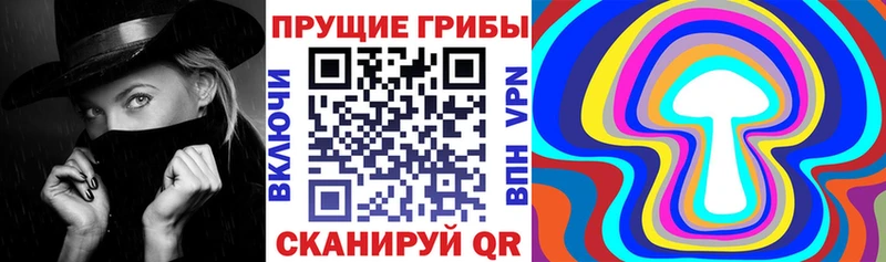 что такое наркотик  Питкяранта  Галлюциногенные грибы Magic Shrooms 